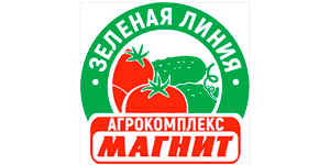 Магнит Зеленая Линия